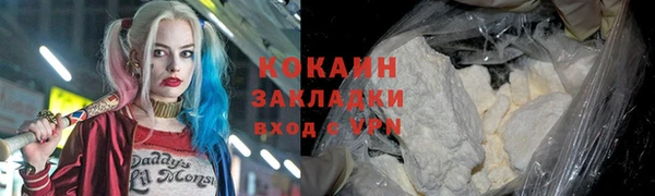 дурь Богородицк