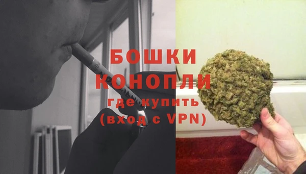 дурь Богородицк