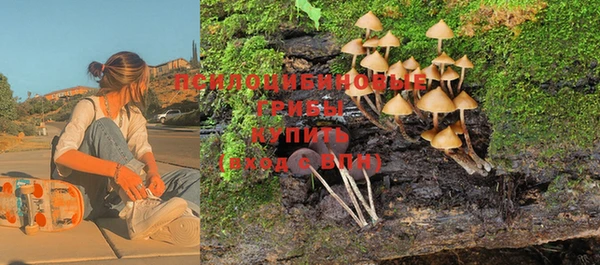 СК Белокуриха