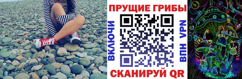 Псилоцибиновые грибы MAGIC MUSHROOMS  Клинцы 